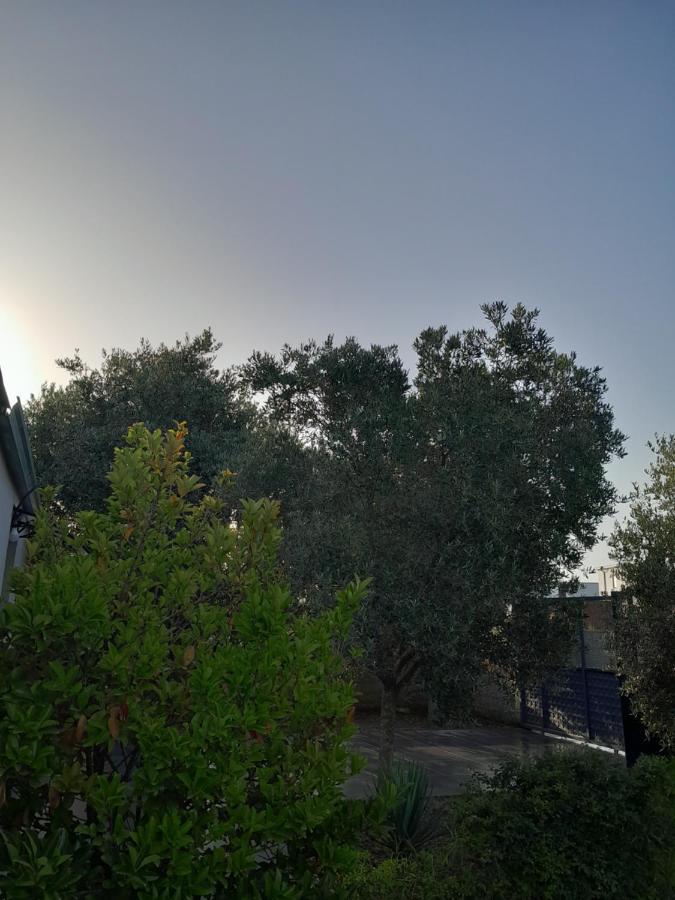 Garden Beach House Hamallaj Exterior photo